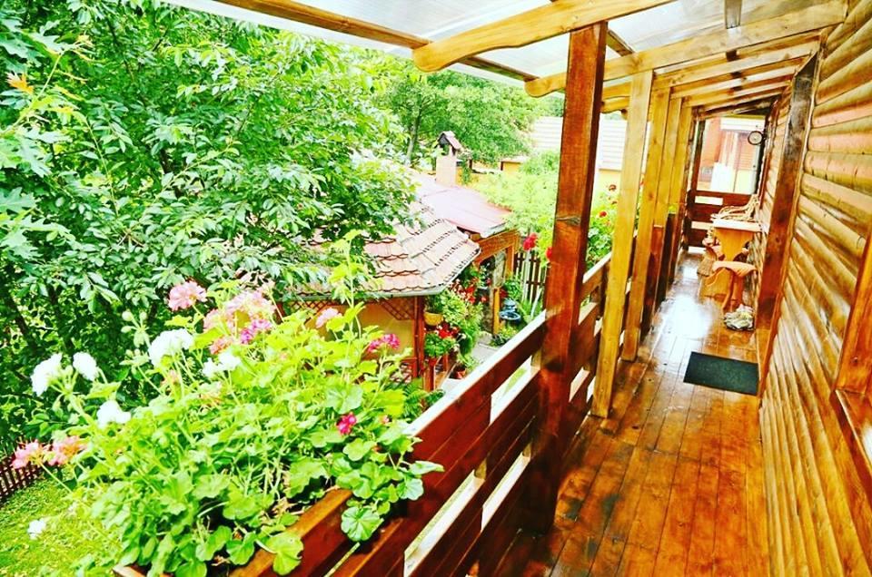 Casa Bunicii Hotell Costeşti Exteriör bild